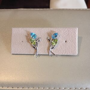 10k Earrings